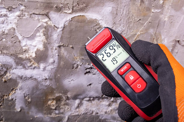 Best Post-Remediation Services in Winter Gardens, CA